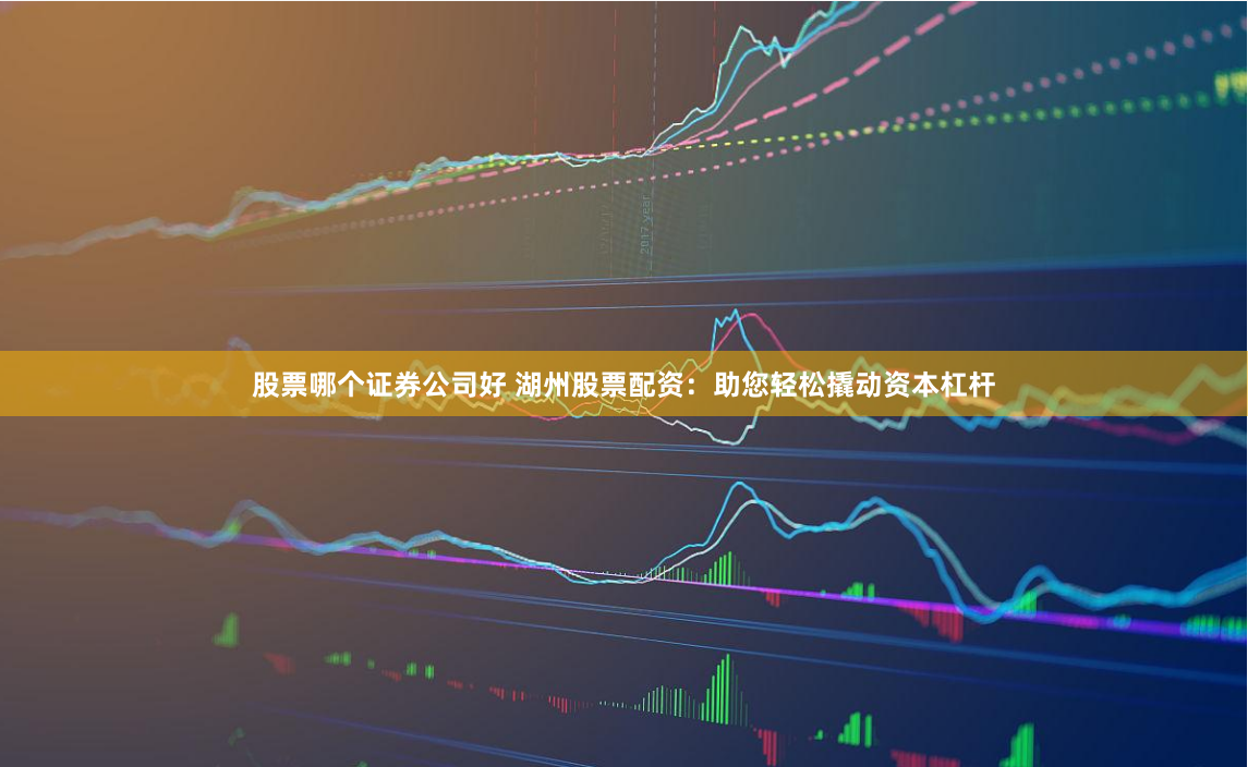 股票哪个证券公司好 湖州股票配资：助您轻松撬动资本杠杆