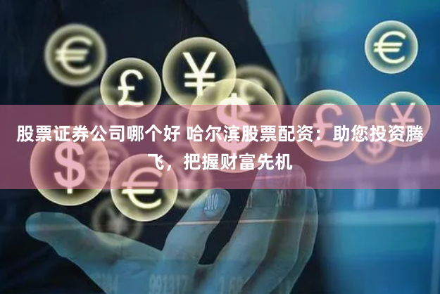 股票证券公司哪个好 哈尔滨股票配资：助您投资腾飞，把握财富先机