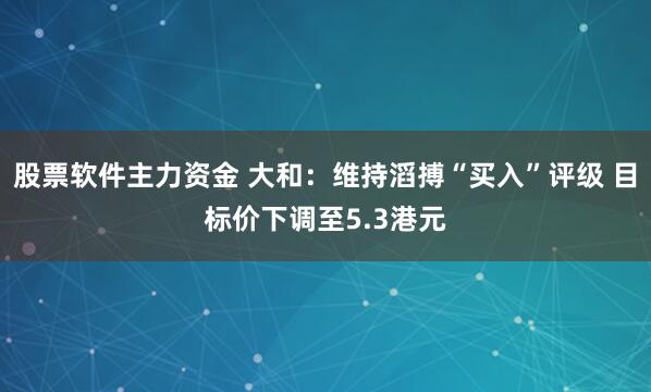 股票软件主力资金 大和：维持滔搏“买入”评级 目标价下调至5.3港元