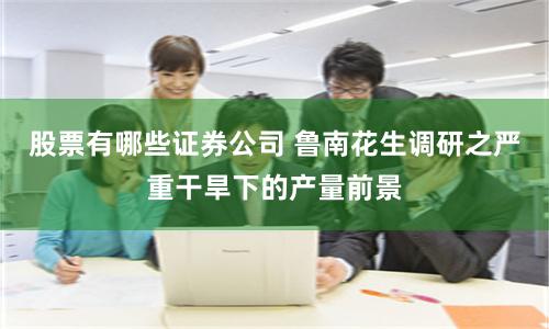 股票有哪些证券公司 鲁南花生调研之严重干旱下的产量前景
