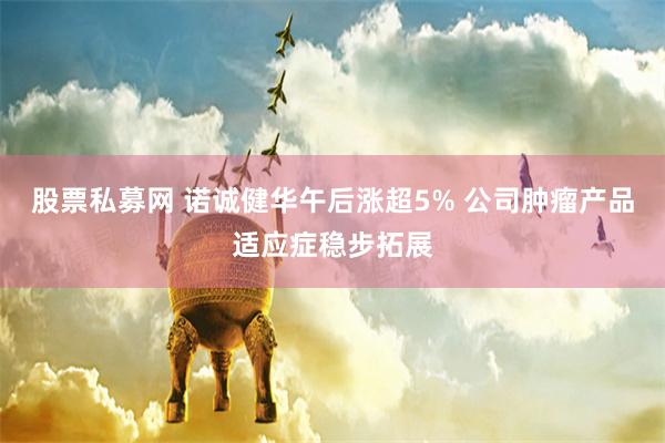 股票私募网 诺诚健华午后涨超5% 公司肿瘤产品适应症稳步拓展