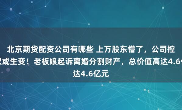北京期货配资公司有哪些 上万股东懵了，公司控制权或生变！老板娘起诉离婚分割财产，总价值高达4.6亿元