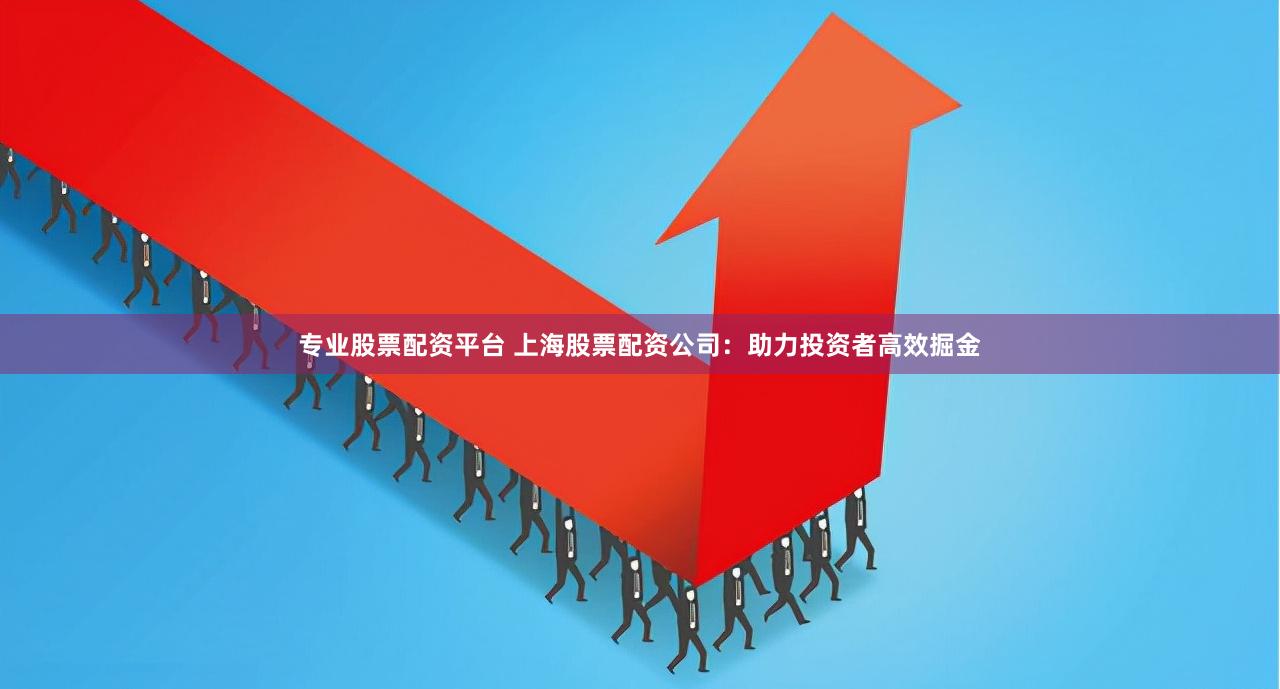 专业股票配资平台 上海股票配资公司：助力投资者高效掘金