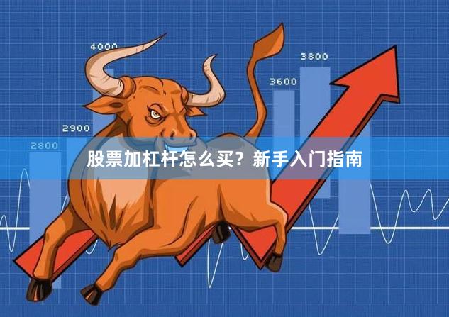 股票加杠杆怎么买？新手入门指南