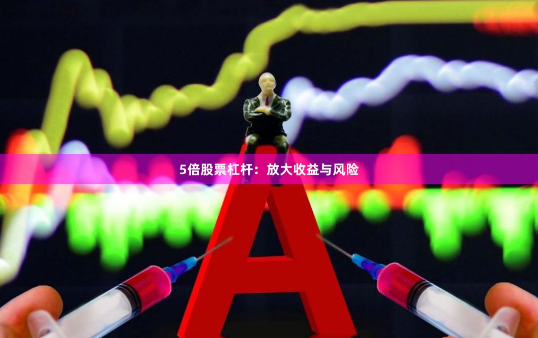 5倍股票杠杆：放大收益与风险