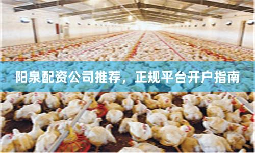 阳泉配资公司推荐，正规平台开户指南