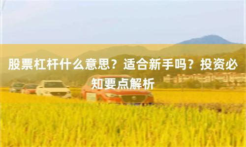 股票杠杆什么意思？适合新手吗？投资必知要点解析