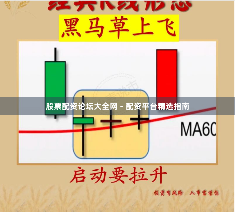 股票配资论坛大全网 - 配资平台精选指南